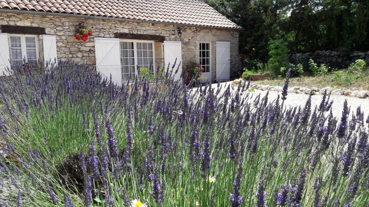 Les Vitarelles En Quercy Berganty Exterior foto